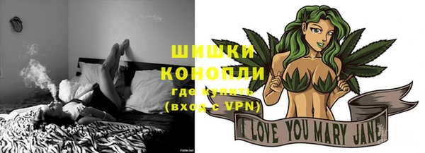 гидра Коряжма
