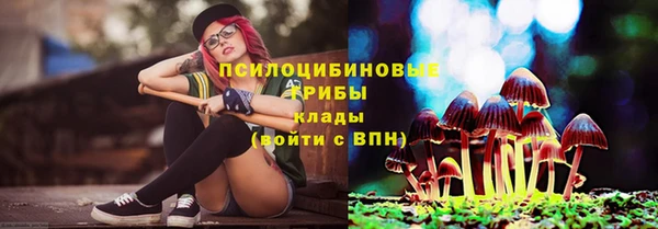 каннабис Корсаков