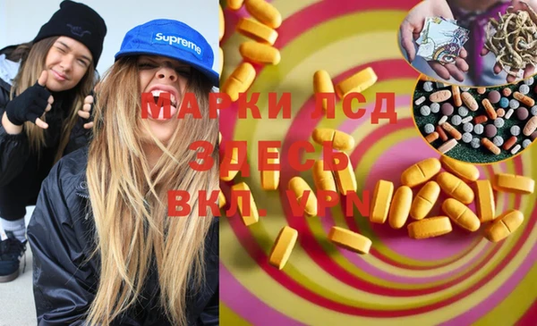 гидра Коряжма