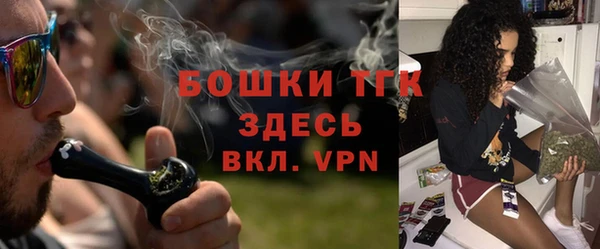 гидра Коряжма