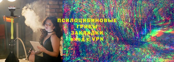 гидра Коряжма