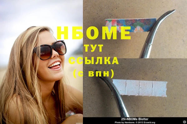 гидра Коряжма