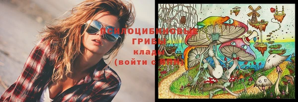 гидра Коряжма
