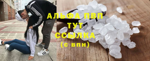 каннабис Корсаков