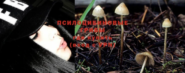 каннабис Корсаков