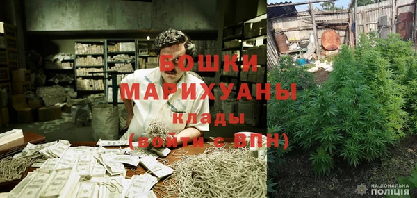 гидра Коряжма