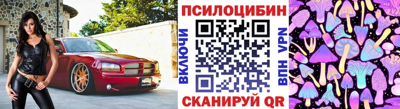 Галлюциногенные грибы мицелий  Купить  Петропавловск-Камчатский 